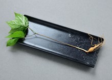 1호 산삼